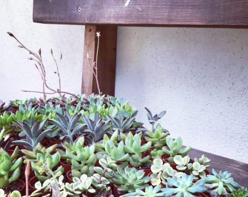 本日も元気に営業しております。