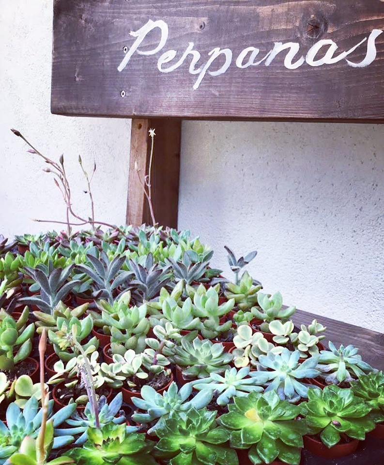 本日も元気に営業しております。