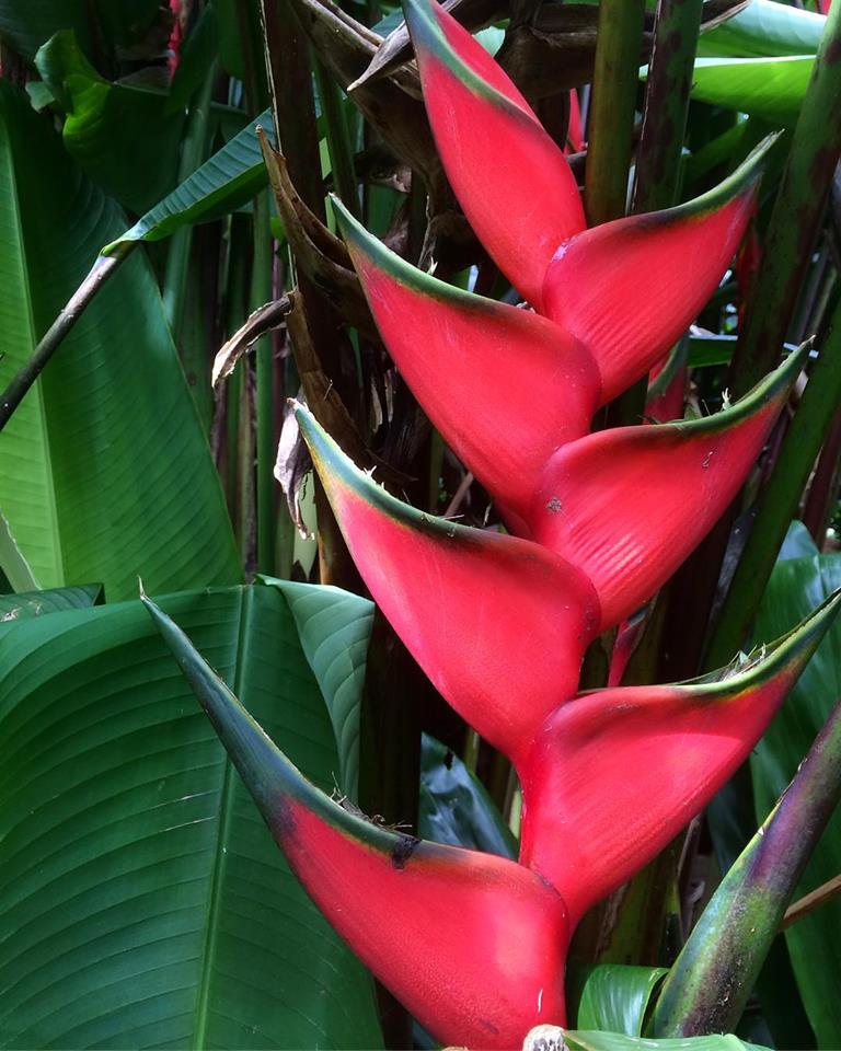 明日 14(木)休みます