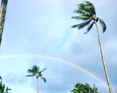 7/25(水)休みます。