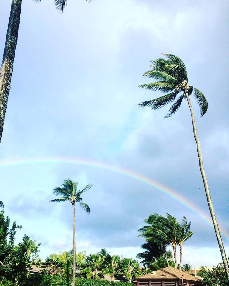 7/25(水)休みます。