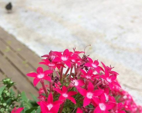 7/19(木)休みます。