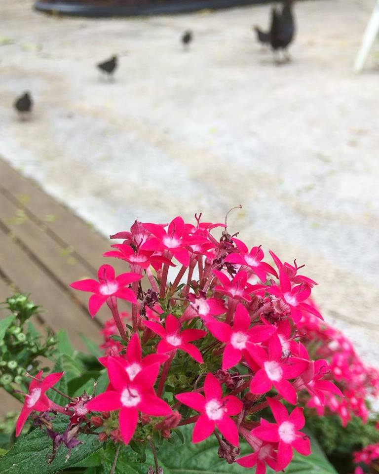 7/19(木)休みます。