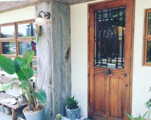 本日も火曜日も元気に営業しております。