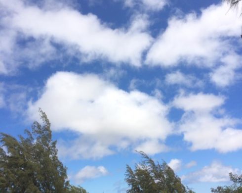 なぜか？#bali と出会う