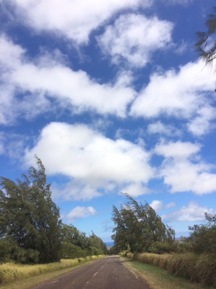 なぜか？#bali と出会う