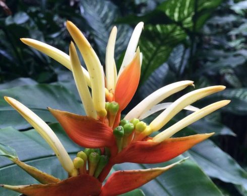 7/4(水)休みます。