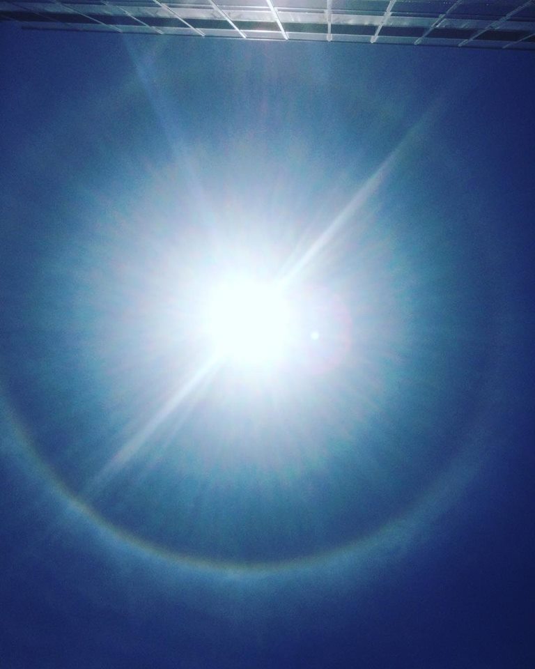 虹が出てますよ